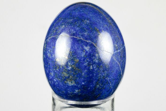 Polished Lapis Lazuli Egg - Pakistan #194516